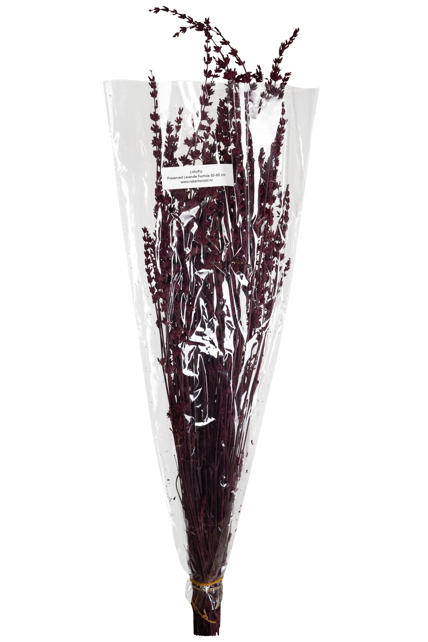 Lavanda conservata H50-60 cm. fuchsia