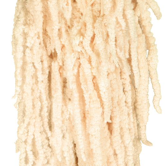 Legatura Crenguta conservata de Amaranthus H70-80 cm crem inchis