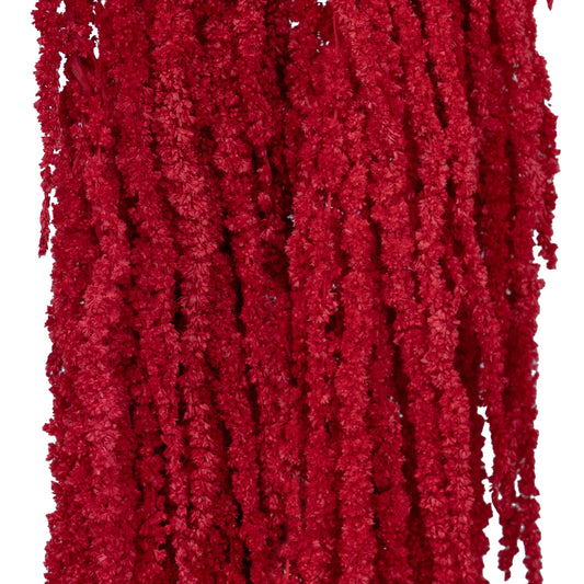 Legatura Crenguta conservata de Amaranthus H70-80 cm rosu inchis