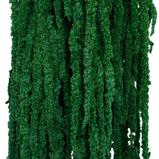 Legatura Crenguta conservata de Amaranthus H70-80 cm verde smarald deschis RR54