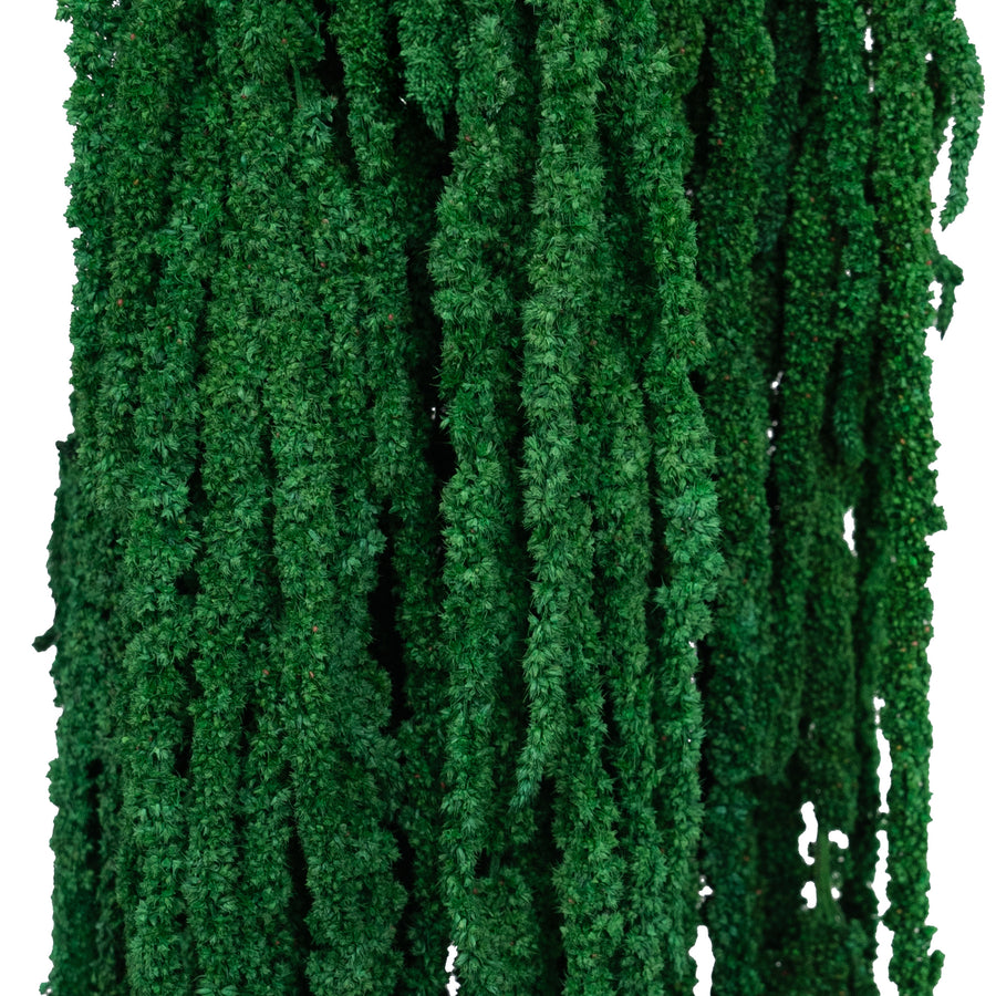 Legatura Crenguta conservata de Amaranthus H70-80 cm verde smarald deschis RR54