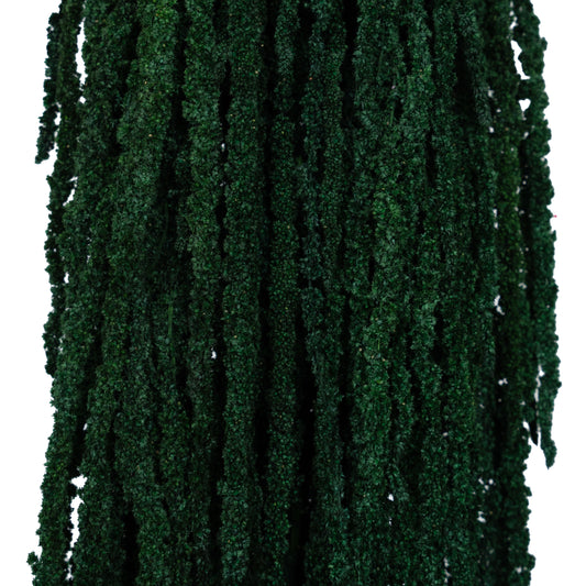 Legatura Crenguta conservata de Amaranthus H70-80 cm verde smarald RR1