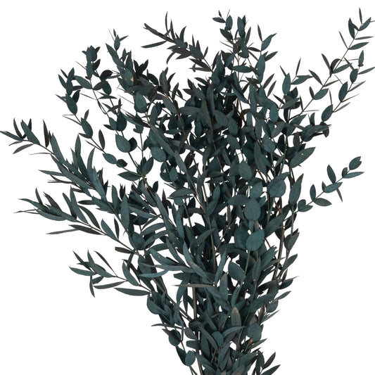 Legatura Crenguta conservata de Gume Eucalipt blue H60-70 cm verde albastrui