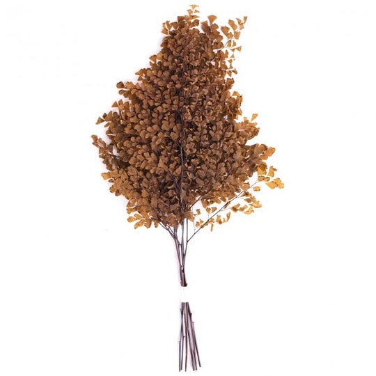 Legatura Frunze conservate de feriga Lutti H20-30 cm. maro