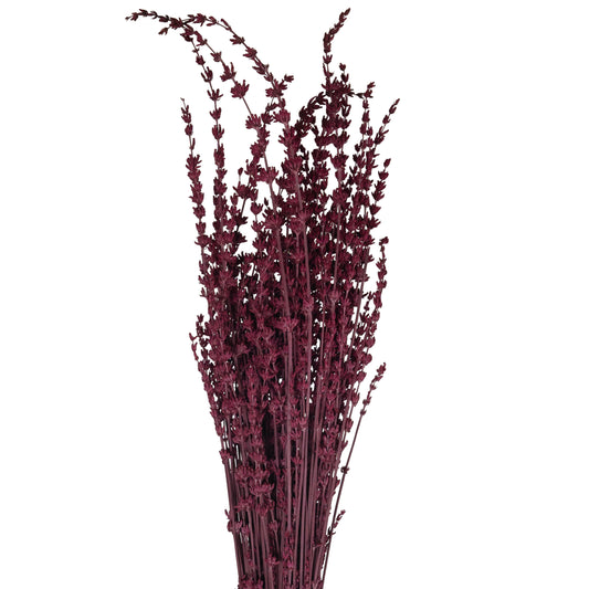 Legatura Lavanda conservata H50-60 cm. fuchsia