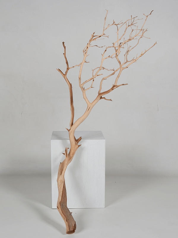 Creanga decorativa Lemn decorativ manzanita120 cm