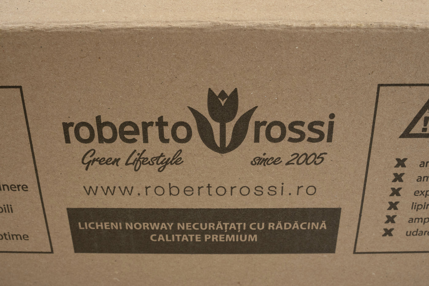 Licheni conservati 0.5kg. mov purpuriu-culoare neuniforma