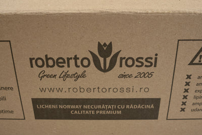 Licheni conservati 0.5kg. mov purpuriu-culoare neuniforma