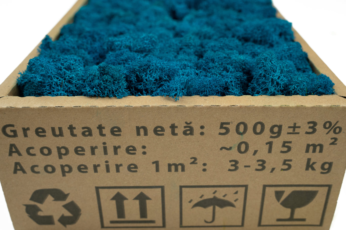 Licheni curatati si fara radacina conservati 500g NET, calitate PREMIUM, albastru clasic deschis RR15L