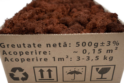 Licheni curatati si fara radacina conservati 500g NET, calitate PREMIUM, maro espresso RR25