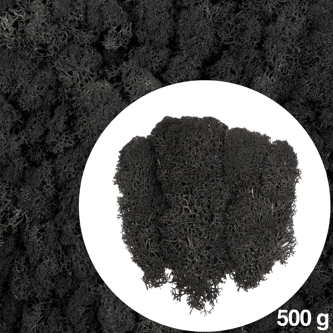 Licheni curatati si fara radacina conservati 500g NET, calitate ULTRA PREMIUM, negru RR22