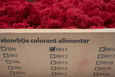 Licheni curatati si fara radacina conservati 500g NET, calitate PREMIUM, rosu intens RR11