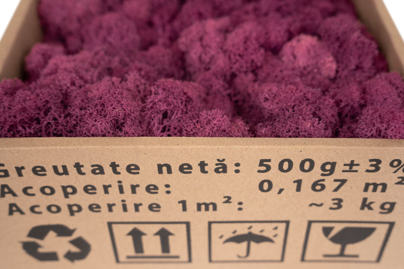 Licheni curatati si fara radacina conservati 500g NET, calitate ULTRA PREMIUM, violet plum inchis RR46