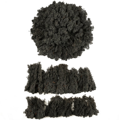 Licheni conservati necuratati cu radacina 2kg. negru