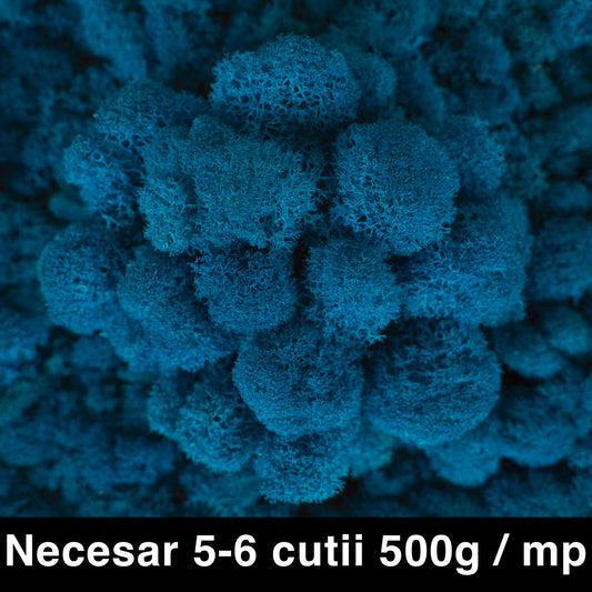 Licheni curatati si fara radacina conservati 500g NET. albastru clasic inchis RR60