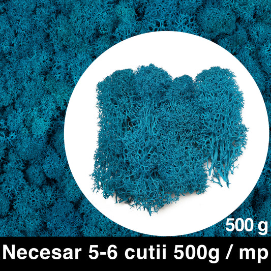 Licheni curatati si fara radacina conservati 500g NET. calitate PREMIUM. albastru clasic deschis RR15L