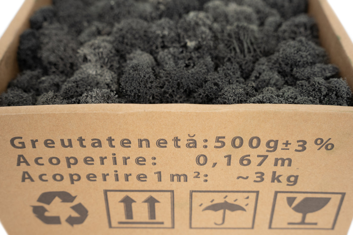 Licheni curatati si fara radacina conservati 500g NET. calitate PREMIUM. gri antracit RR23
