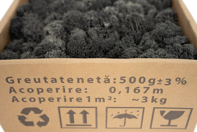 Licheni curatati si fara radacina conservati 500g NET. calitate PREMIUM. gri antracit RR23