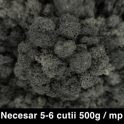 Licheni curatati si fara radacina conservati 500g NET. calitate PREMIUM. gri antracit RR23