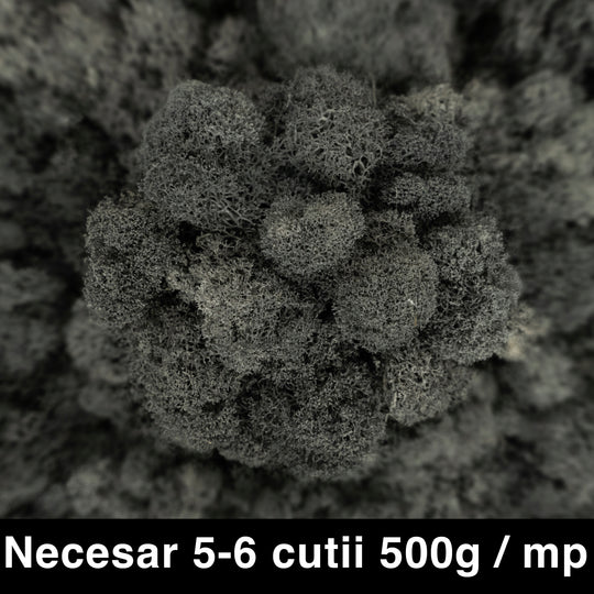 Licheni curatati si fara radacina conservati 500g NET. calitate PREMIUM. gri antracit RR23
