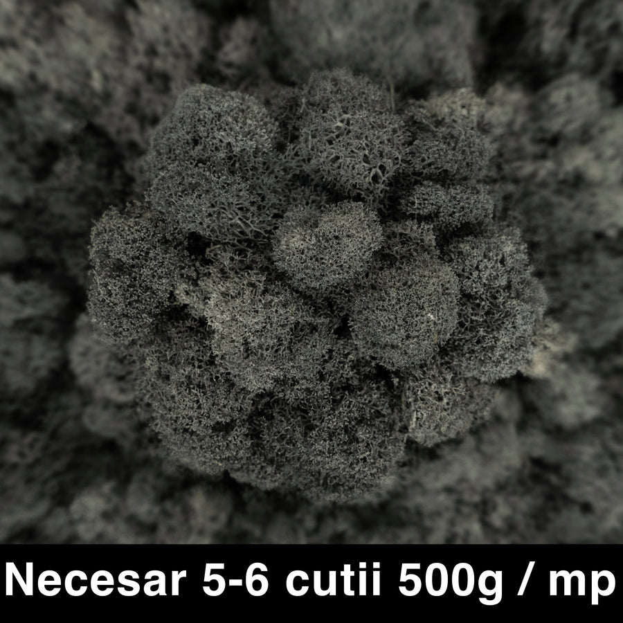 Licheni curatati si fara radacina conservati 500g NET. calitate PREMIUM. gri antracit RR23