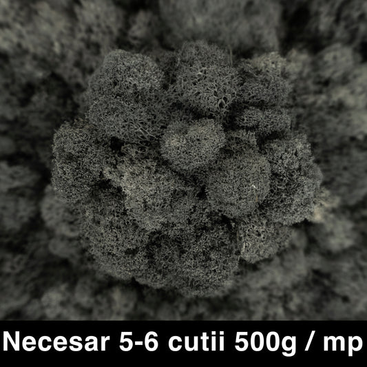 Licheni curatati si fara radacina conservati 500g NET. calitate PREMIUM. gri antracit RR23