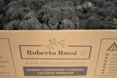 Licheni curatati si fara radacina conservati 500g NET. calitate PREMIUM. gri antracit RR23