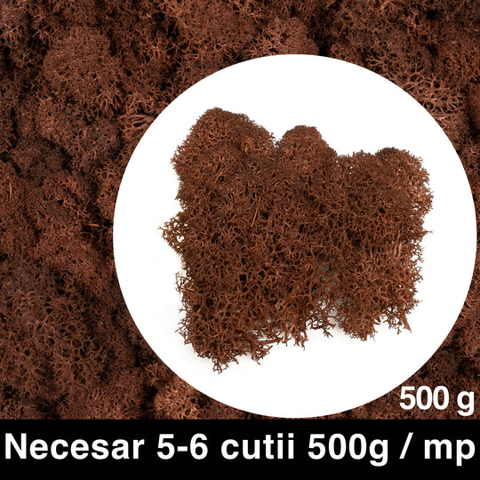 Licheni curatati si fara radacina conservati 500g NET. calitate PREMIUM. maro espresso RR25