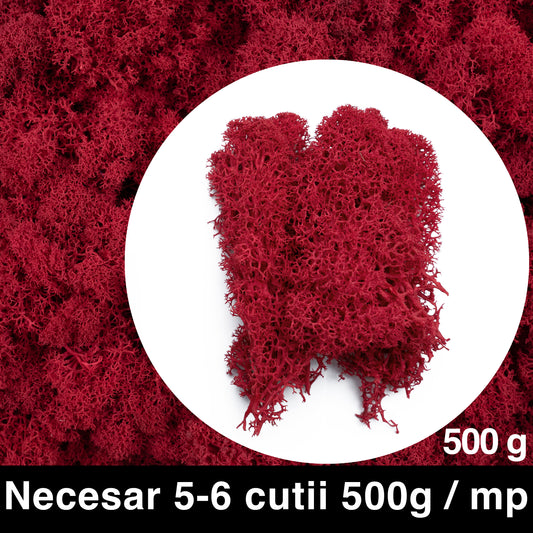 Licheni curatati si fara radacina conservati 500g NET. calitate PREMIUM. rosu intens inchis RR11D