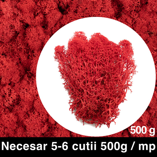 Licheni curatati si fara radacina conservati 500g NET. calitate PREMIUM. rosu intens RR11