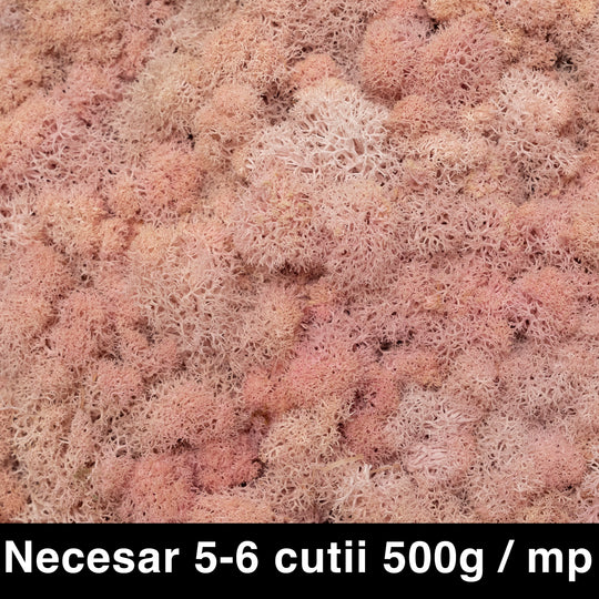 Licheni curatati si fara radacina conservati 500g NET. calitate PREMIUM. roz pal RR31