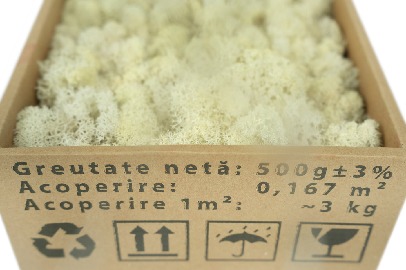 Licheni curatati si fara radacina conservati 500g NET. calitate ULTRA PREMIUM. alb crem RR28 NEW