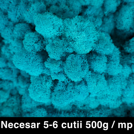 Licheni curatati si fara radacina conservati 500g NET. calitate ULTRA PREMIUM. blue raspberry RR45