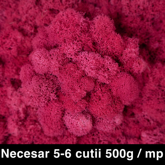 Licheni curatati si fara radacina conservati 500g NET. calitate ULTRA PREMIUM. fuchsia hot RR68