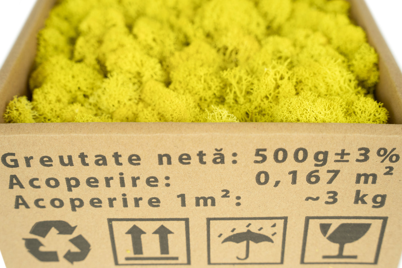 Licheni curatati si fara radacina conservati 500g NET. calitate ULTRA PREMIUM. galben lemon inchis RR57