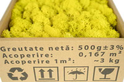 Licheni curatati si fara radacina conservati 500g NET. calitate ULTRA PREMIUM. galben lemon inchis RR57