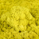 Licheni curatati si fara radacina conservati 500g NET. calitate ULTRA PREMIUM. galben lemon inchis RR57