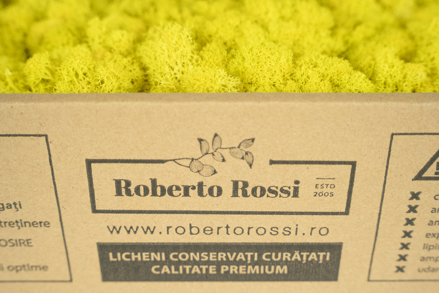 Licheni curatati si fara radacina conservati 500g NET. calitate ULTRA PREMIUM. galben lemon inchis RR57