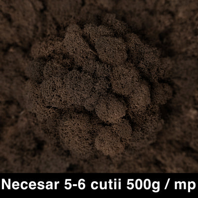 Licheni curatati si fara radacina conservati 500g NET. calitate ULTRA PREMIUM. maro RR24