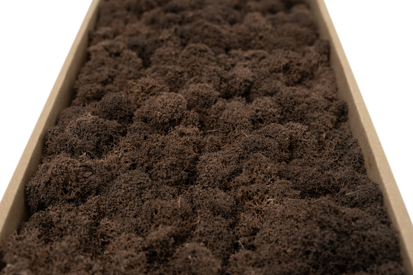 Licheni curatati si fara radacina conservati 500g NET. calitate ULTRA PREMIUM. maro RR24