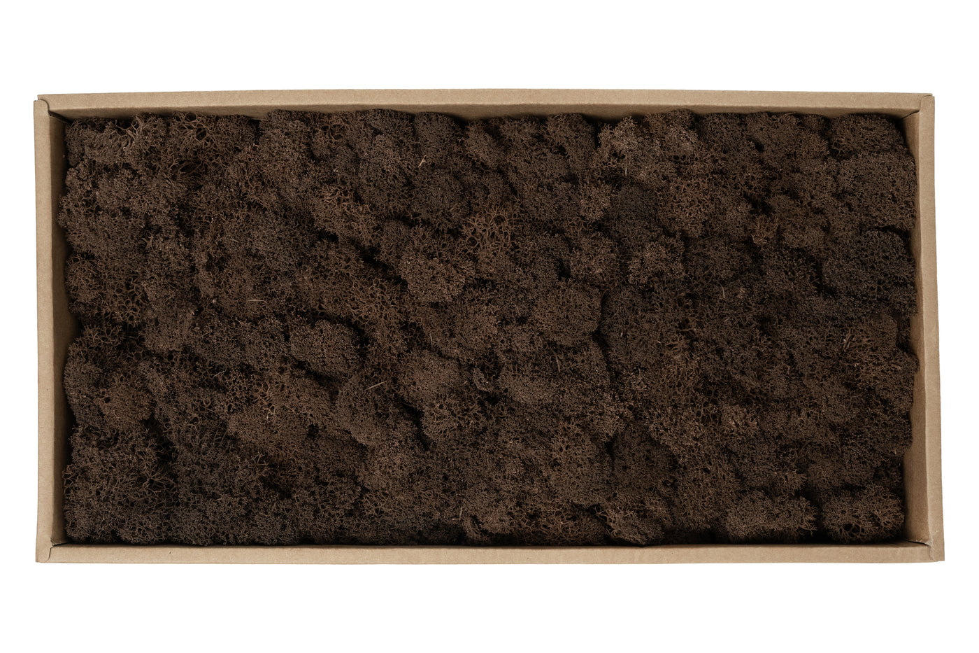 Licheni curatati si fara radacina conservati 500g NET. calitate ULTRA PREMIUM. maro RR24