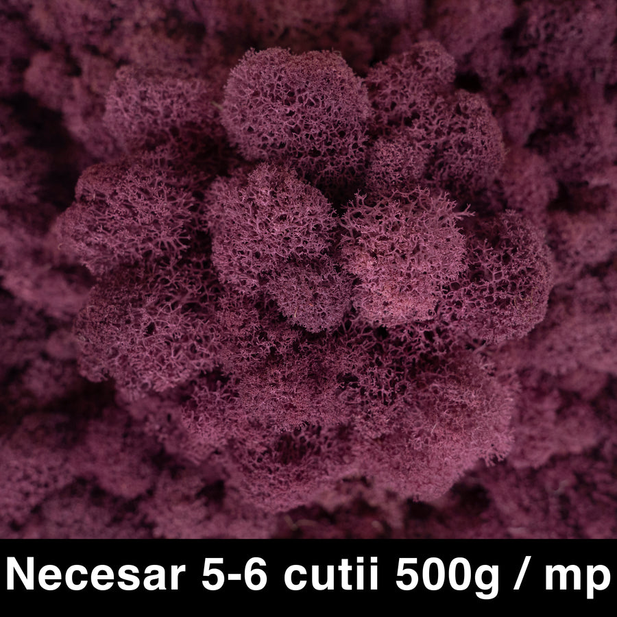 Licheni curatati si fara radacina conservati 500g NET. calitate ULTRA PREMIUM. mov burgundy RR47