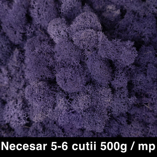 Licheni curatati si fara radacina conservati 500g NET. calitate ULTRA PREMIUM. mov intens RR69