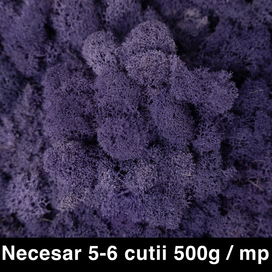 Licheni curatati si fara radacina conservati 500g NET. calitate ULTRA PREMIUM. mov intens RR69
