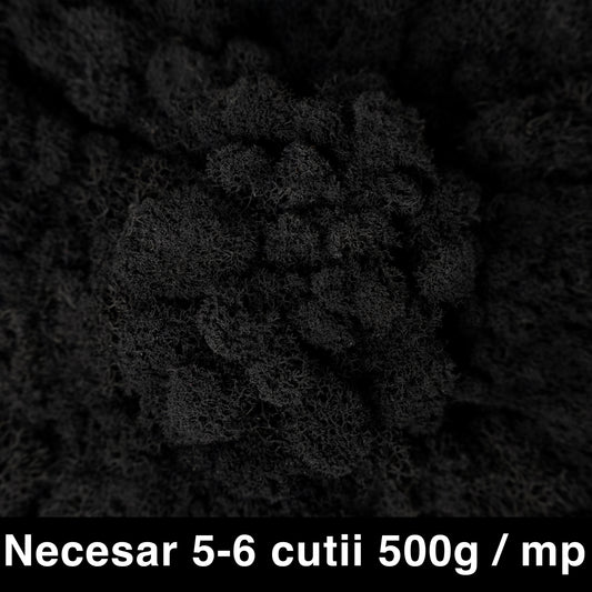 Licheni curatati si fara radacina conservati 500g NET. calitate ULTRA PREMIUM. negru RR22