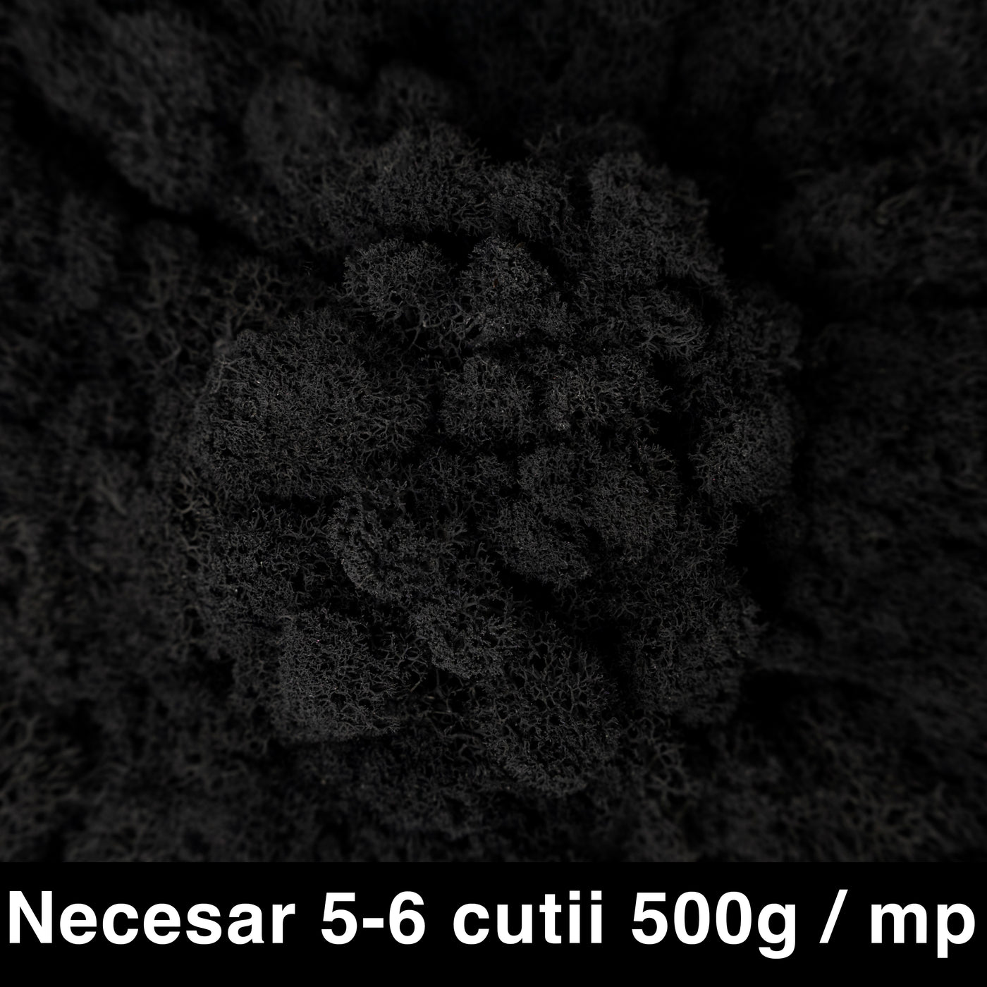Licheni curatati si fara radacina conservati 500g NET. calitate ULTRA PREMIUM. negru RR22