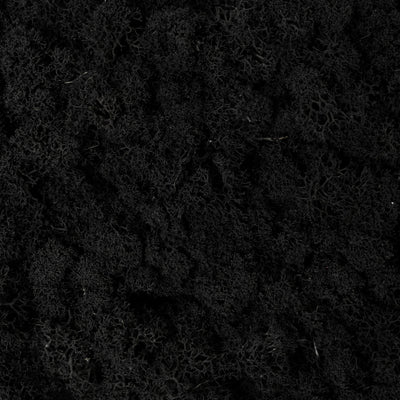 Licheni curatati si fara radacina conservati 500g NET. calitate ULTRA PREMIUM. negru RR22