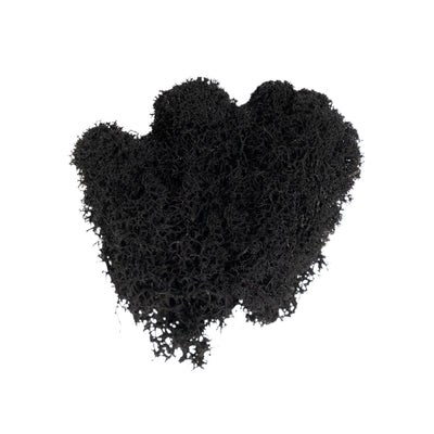 Licheni curatati si fara radacina conservati 500g NET. calitate ULTRA PREMIUM. negru RR22