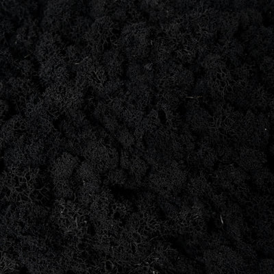 Licheni curatati si fara radacina conservati 500g NET. calitate ULTRA PREMIUM. negru RR22