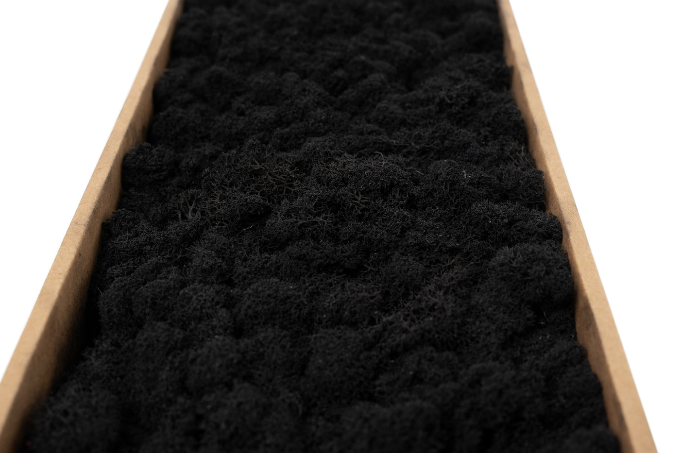 Licheni curatati si fara radacina conservati 500g NET. calitate ULTRA PREMIUM. negru RR22